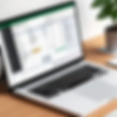 Overview of Accounts Payable Management in Excel Comprehensive overview of accounts payable in Excel