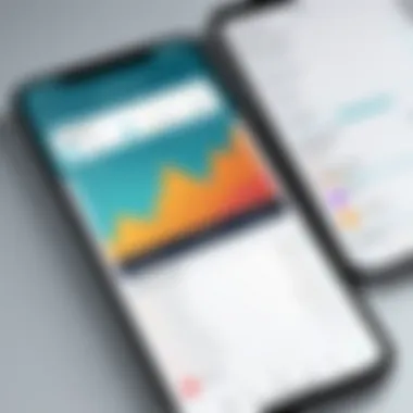 Effective Expense Categorization on Mobile Mobile application displaying expense categorization