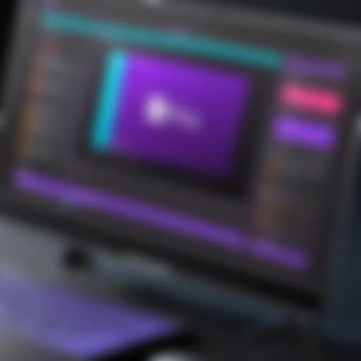 User interface features of Adobe Premiere Pro