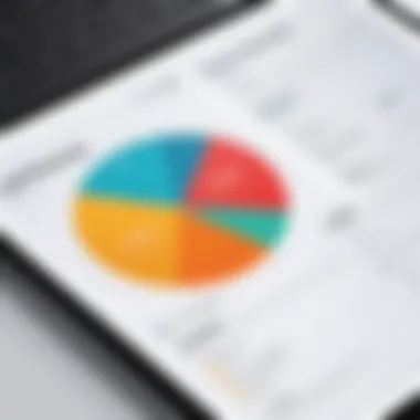 Visualization of payroll reporting features