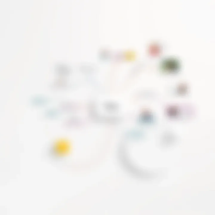 Creative visual organization of thoughts and ideas.