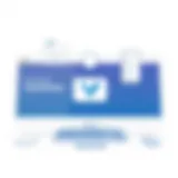 TeamViewer Remote Connection Interface TeamViewer interface showcasing remote connection