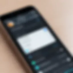User interface of a contact management app on iPhone showcasing features and layout