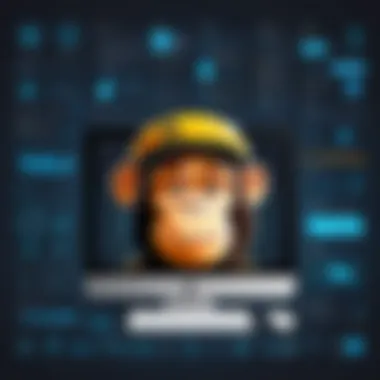 User Interfaces of Mailchimp and Constant Contact Comparison of Mailchimp and Constant Contact dashboards