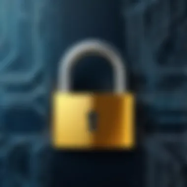 Lock symbol representing security in digital transactions