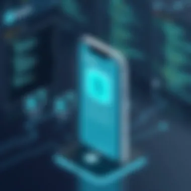 Overview of integration capabilities of the app