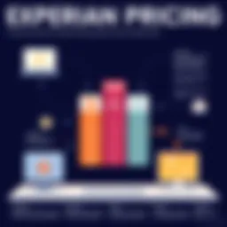 Overview of Experian pricing structure